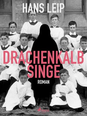 cover image of Drachenkalb singe